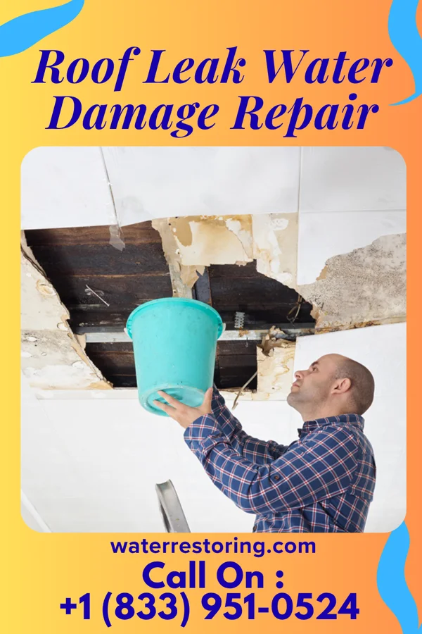 Roof Leak Water Damage Repair in La Riviera, CA
